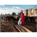 Trade Polycotton Conti Suit - Image 2