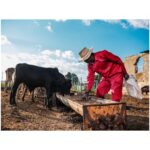Trade Polycotton Conti Suit - Image 11