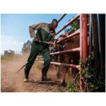 Site Premium Polycotton Pants - Image 16