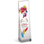 Altitude Hubris Award - Image 3