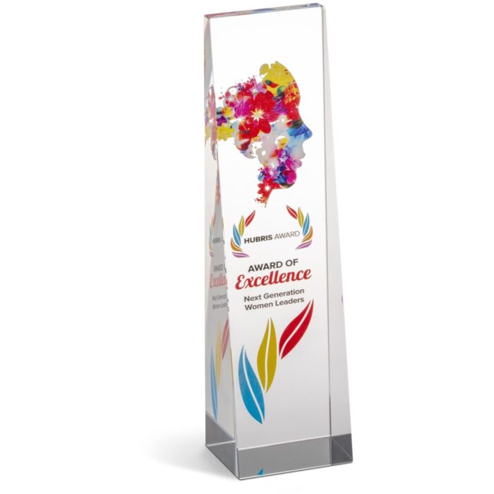 Altitude Hubris Award - Image 3