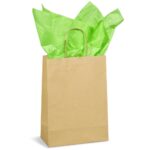 Altitude Ecological Digital Print Midi Paper Gift Bag 150gsm - Image 19