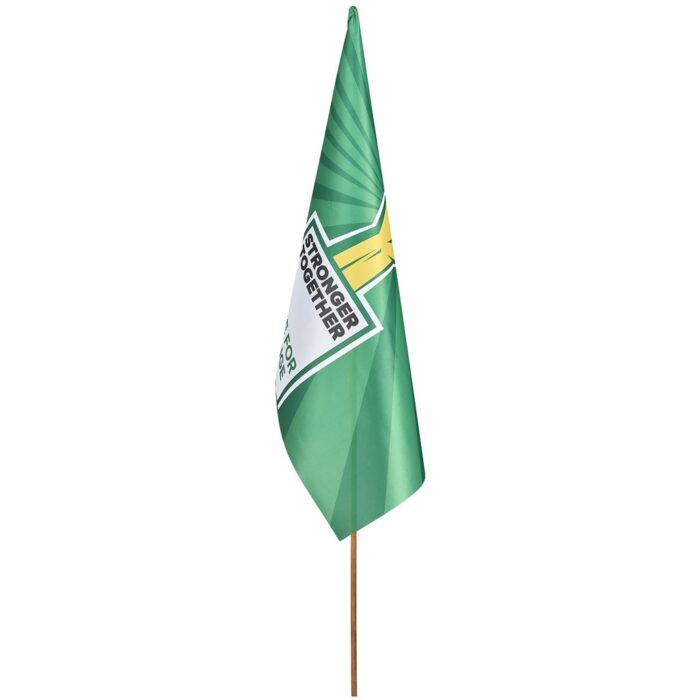 Champion Large Hand Flag 900mm x 600mm - Image 1