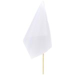 Champion Small Hand Flag 300mm x 200mm - Image 2
