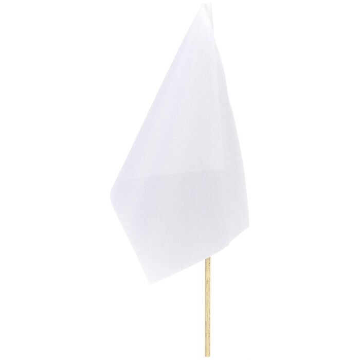 Champion Small Hand Flag 300mm x 200mm - Image 2