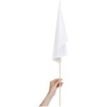 Champion Medium Hand Flag 450mm x 300mm - Image 4
