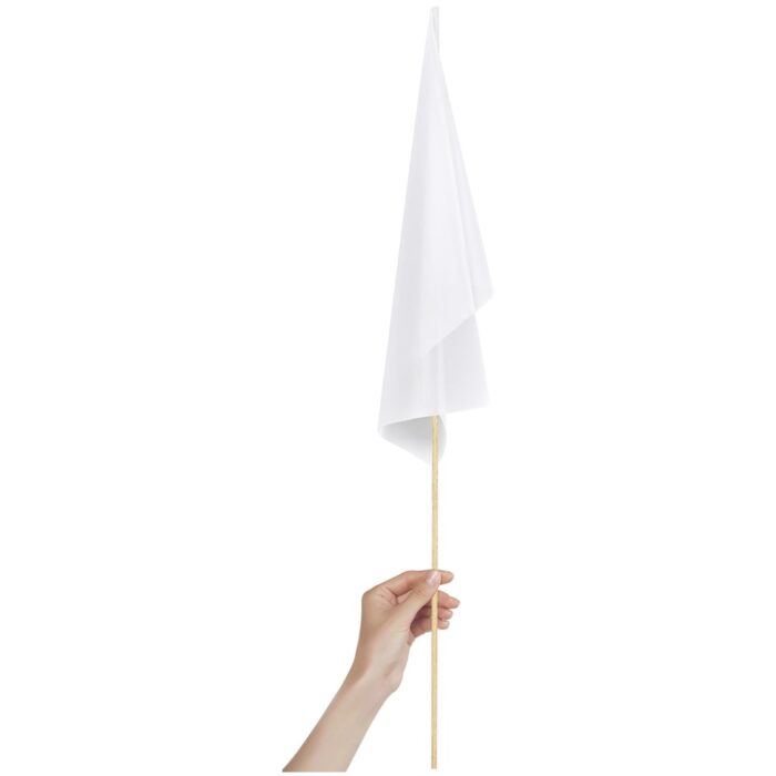 Champion Medium Hand Flag 450mm x 300mm - Image 4