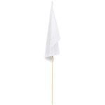 Champion Medium Hand Flag 450mm x 300mm - Image 2