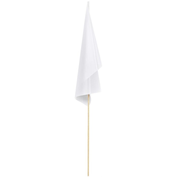 Champion Medium Hand Flag 450mm x 300mm - Image 2