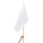 Champion Large Hand Flag 900mm x 600mm - Image 3