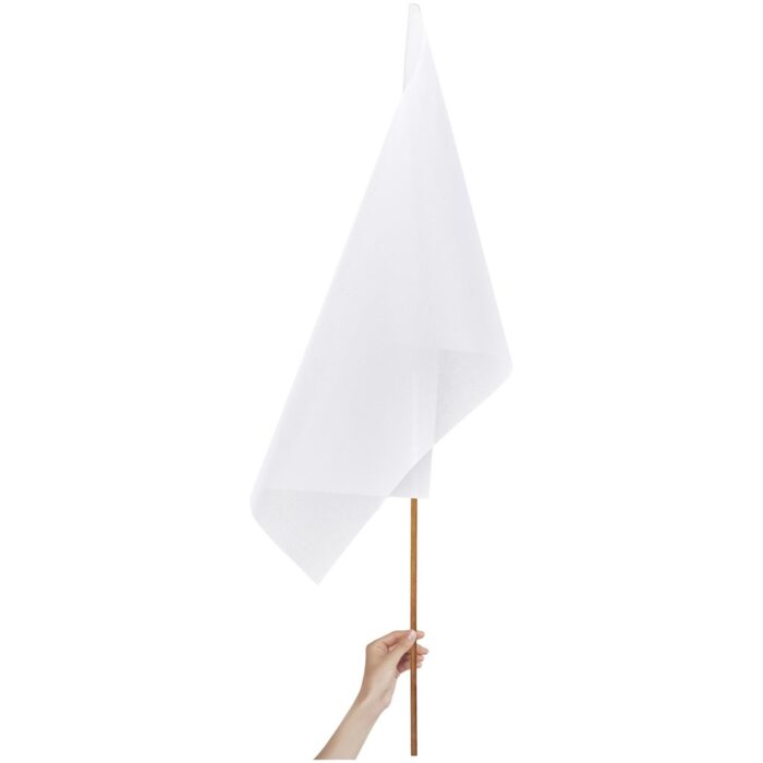 Champion Large Hand Flag 900mm x 600mm - Image 3