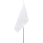 Champion Large Hand Flag 900mm x 600mm - Image 4