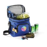 Altitude Thermo 12-Can Cooler - Image 4